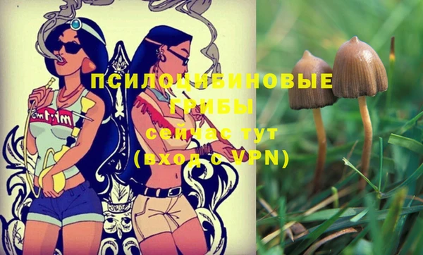спиды Горняк