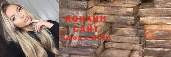 таблы Гусев
