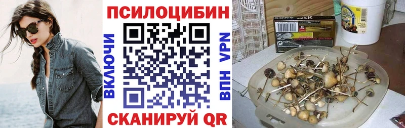 Купить Вязьма Псилоцибиновые грибы ЛСД