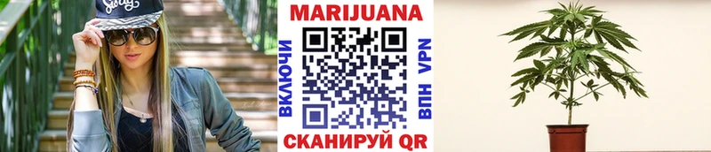 Купить закладки  Вязьма  Канабис Bruce Banner 